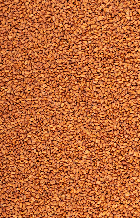 Wildleinmehl 500g