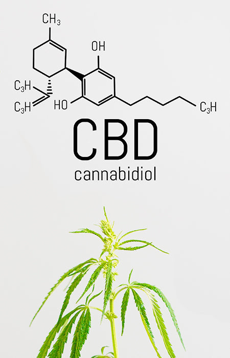 CBD Direct med 250g