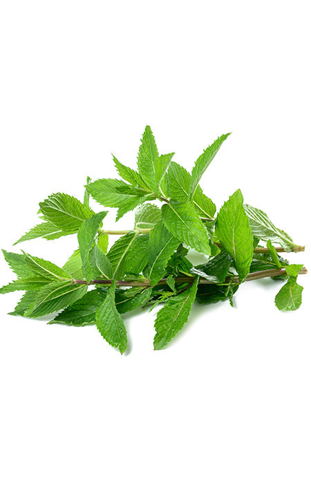 Macerate 11 peppermints in sikavice oil 200ml