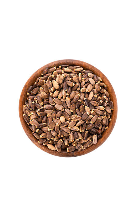 Hemp protein Strong 4 You 400g