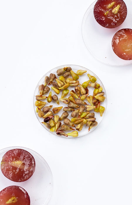 Grape seed oil