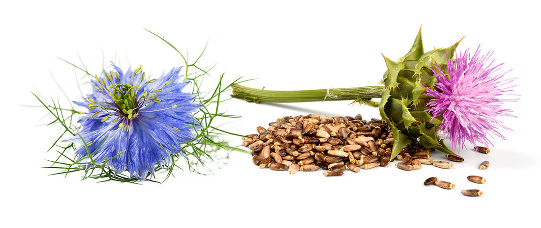 Biljke koje liječe i štite: kako smo počeli slušati prirodu