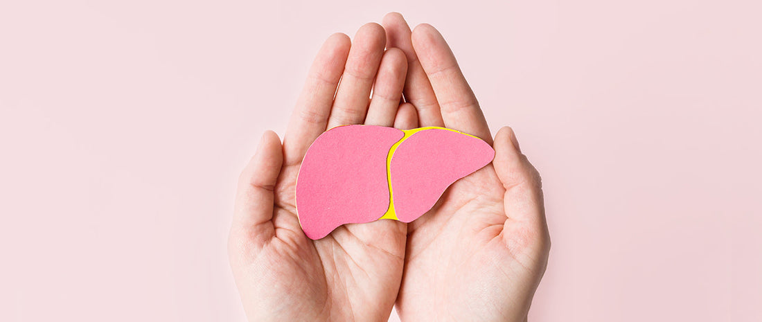 Kura za zdravu jetru – korak po korak prema ravnoteži i obnovi