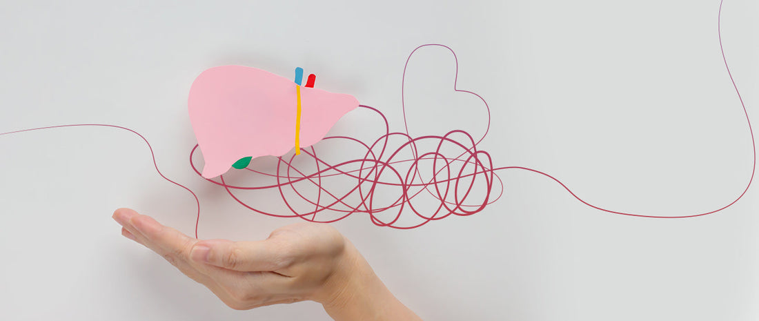 Kad stres sjedne na jetru — krug koji se mora prekinuti!