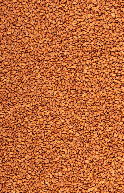 Brašno divljeg lana 500g