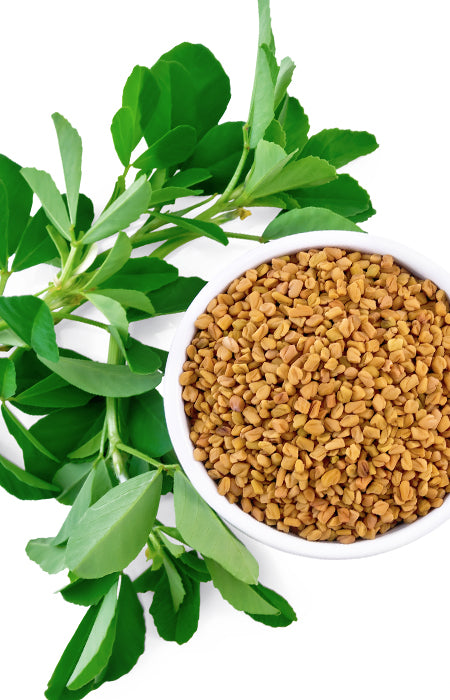 Fenugreek Plus in powder 250g