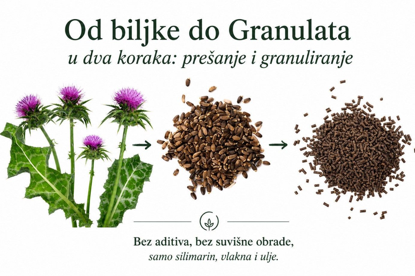 Od biljke do svježeg granulata u dva koraka: prešanje i granuliranje