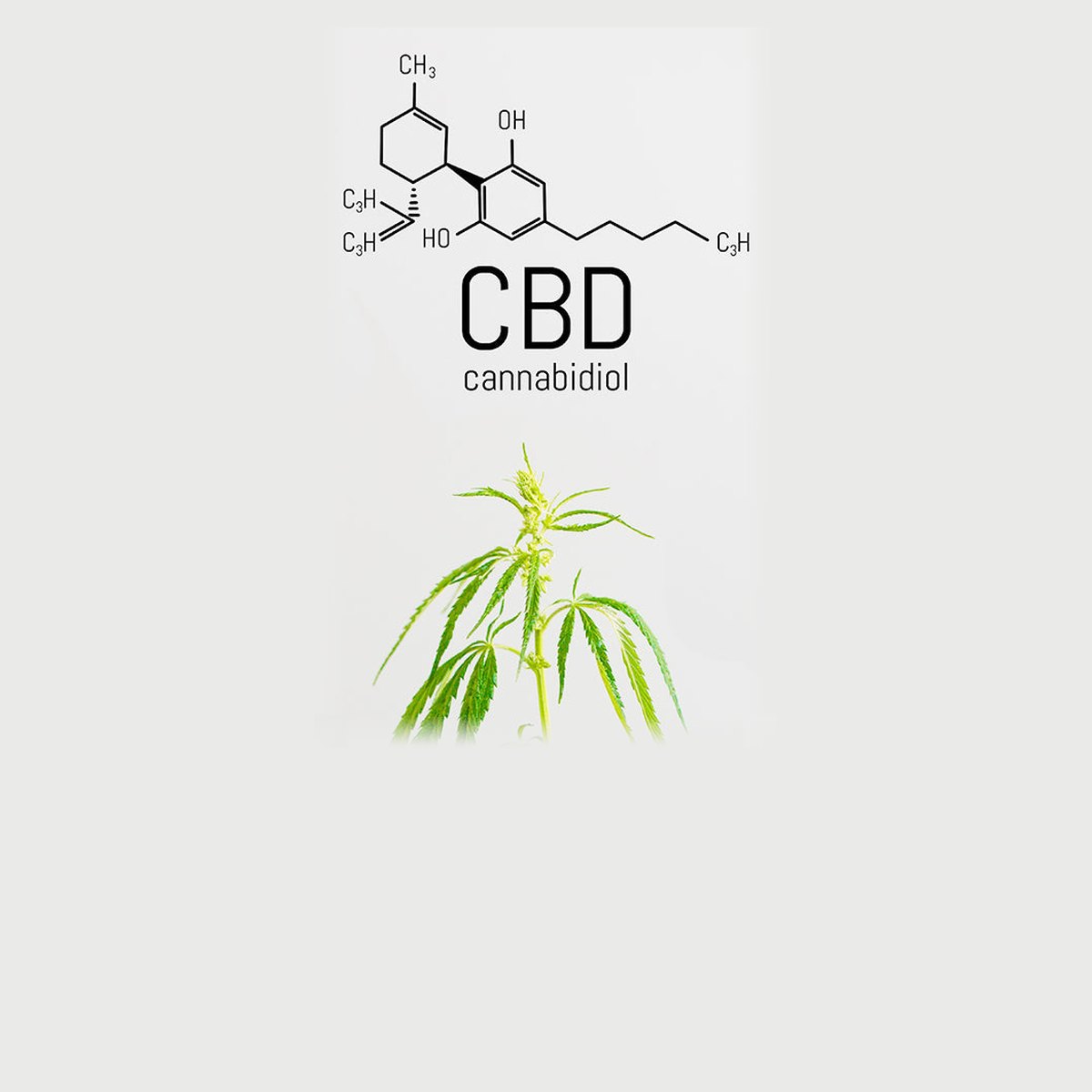 Triple CBD + AHA bioactive fluid 30ml