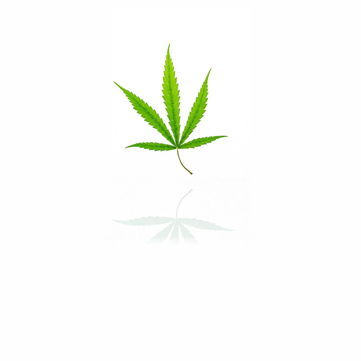 Triple CBD + AHA bioactive fluid 30ml